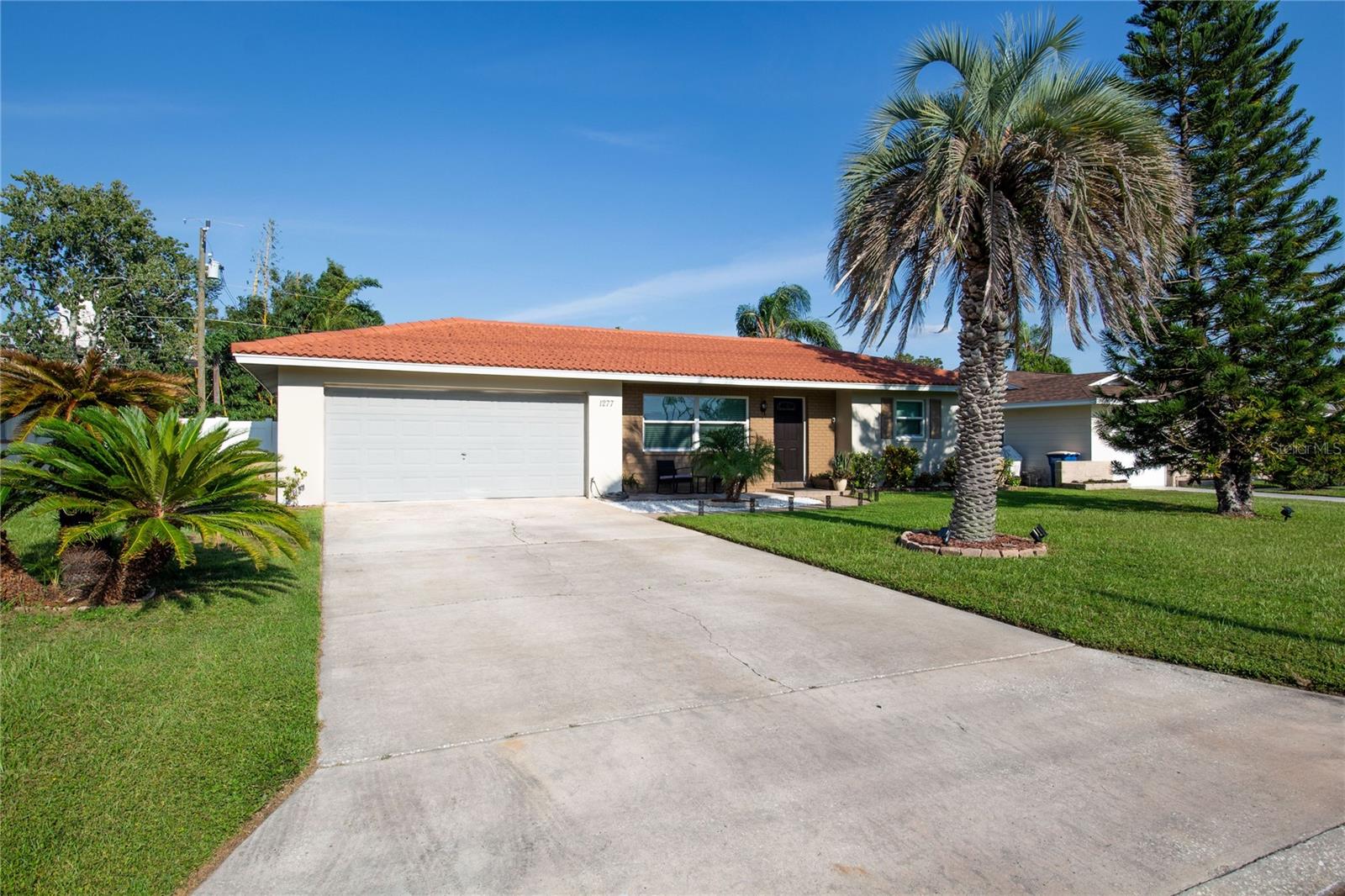 Single Family Residence em CLEARWATER, FL - Daniel Dourado