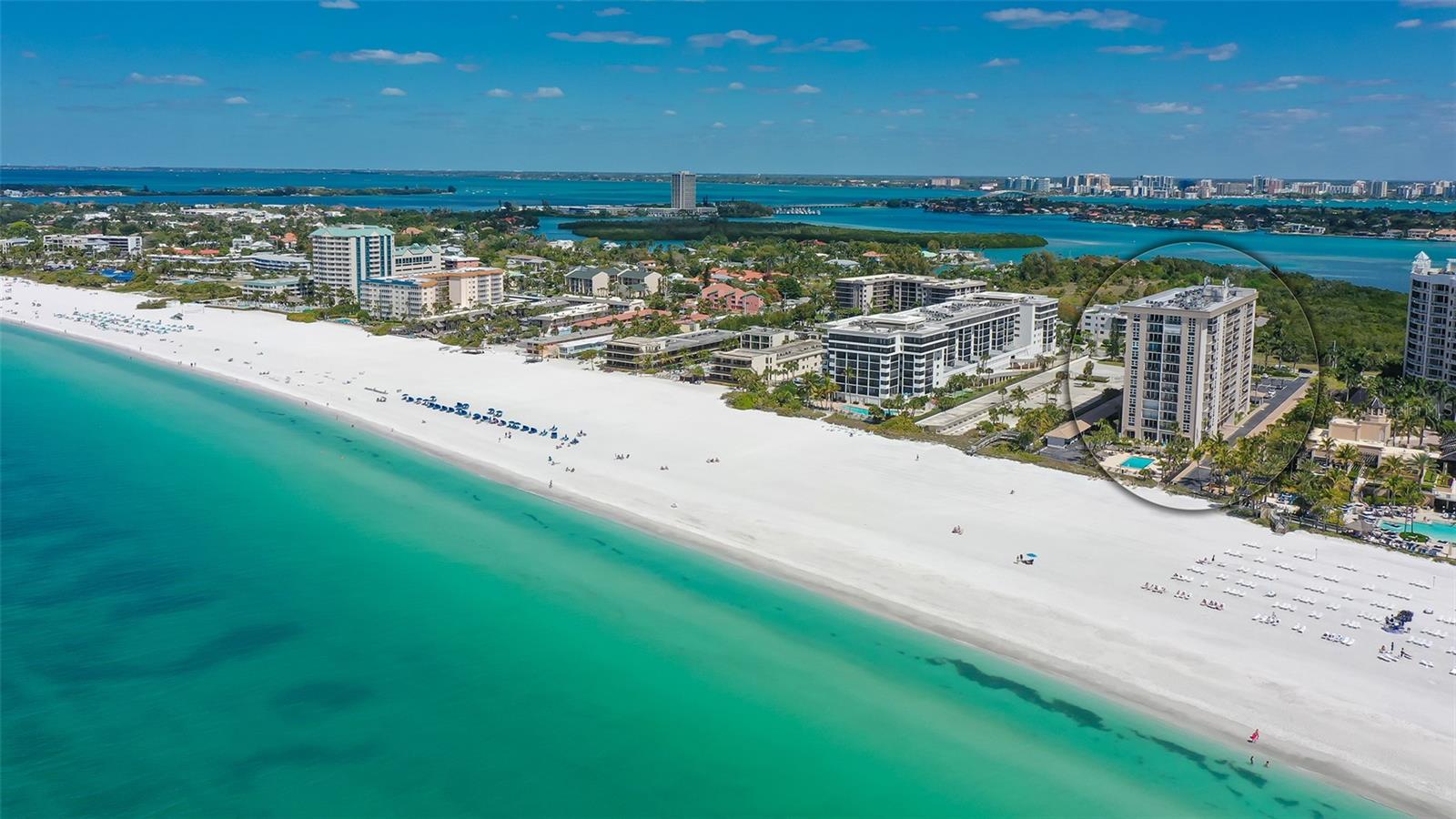 Condominium in SARASOTA, FL - Daniel Dourado