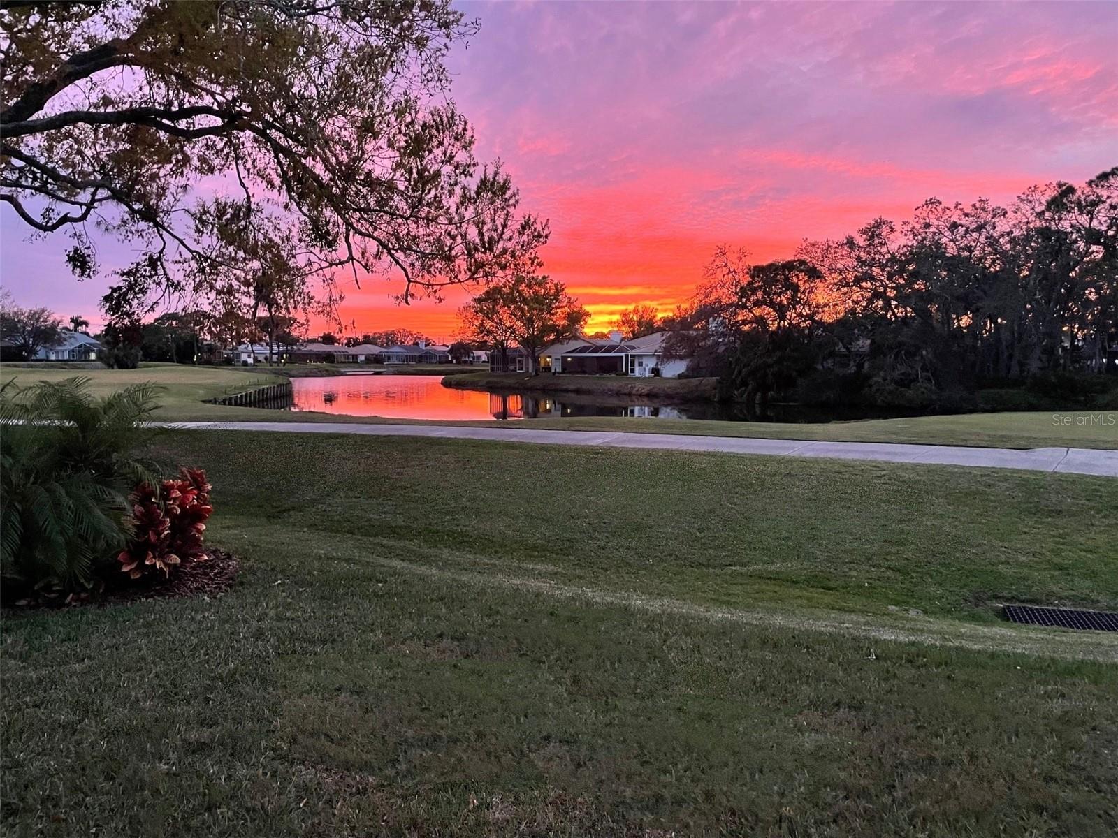 Single Family Residence em SARASOTA, FL - Daniel Dourado