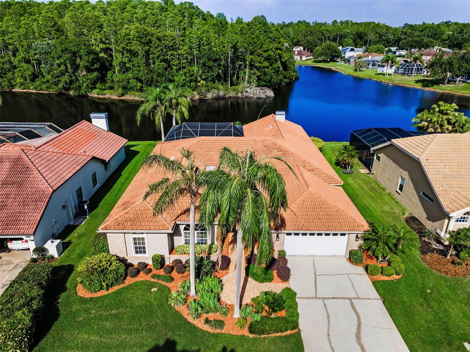 Single Family Residence in PALM HARBOR, FL - Daniel Dourado