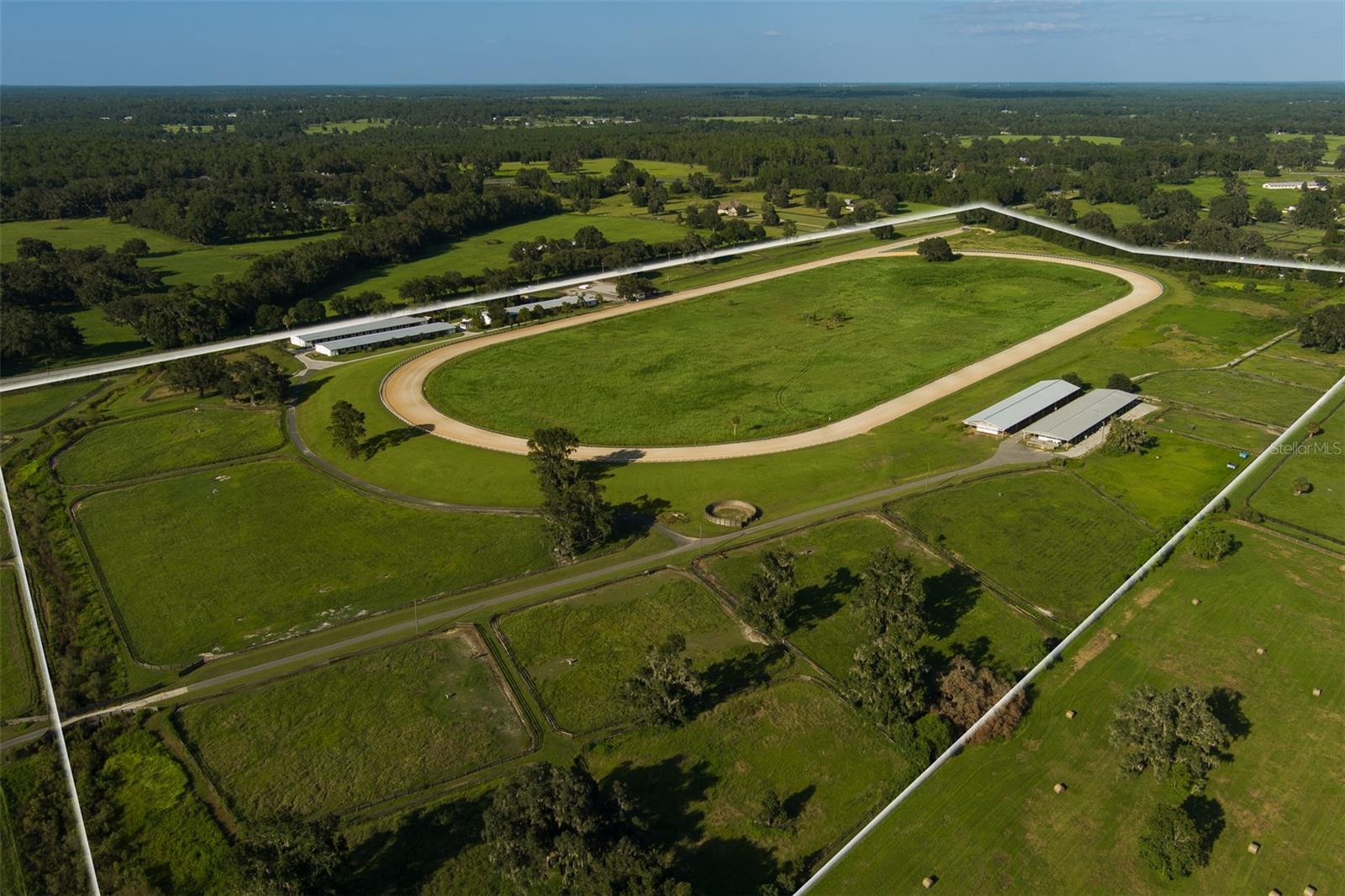 Farm em OCALA, FL - Daniel Dourado