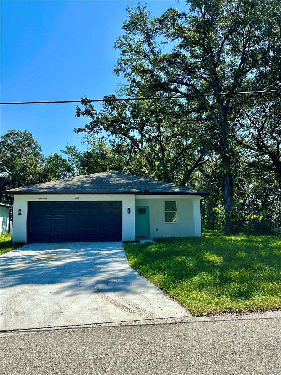 Single Family Residence in LUTZ, FL - Daniel Dourado