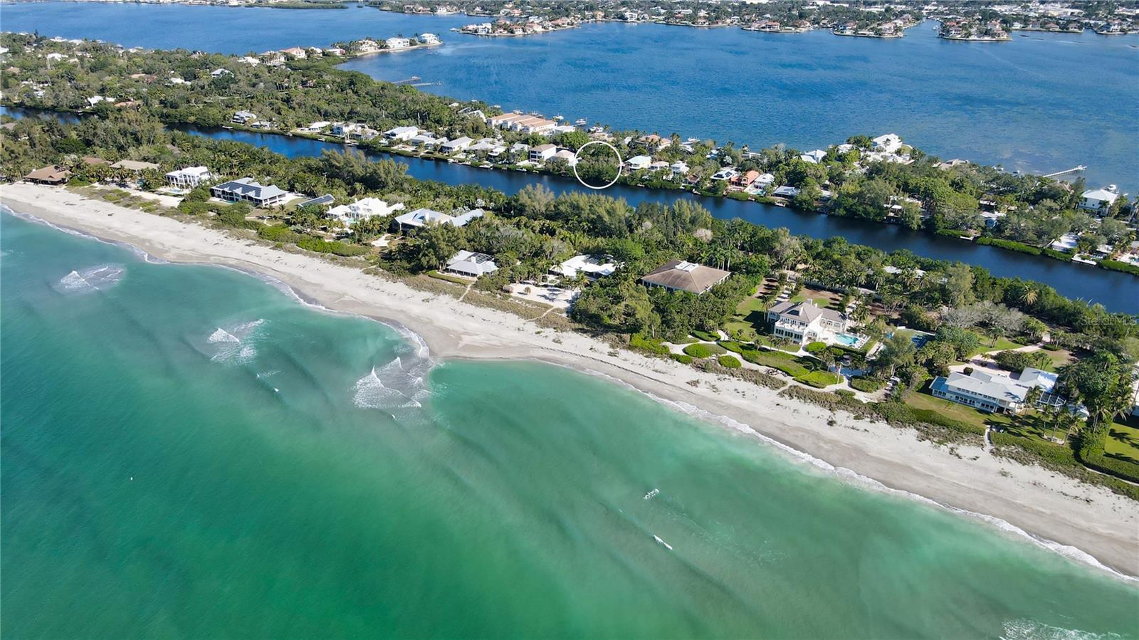  in SARASOTA, FL - Daniel Dourado