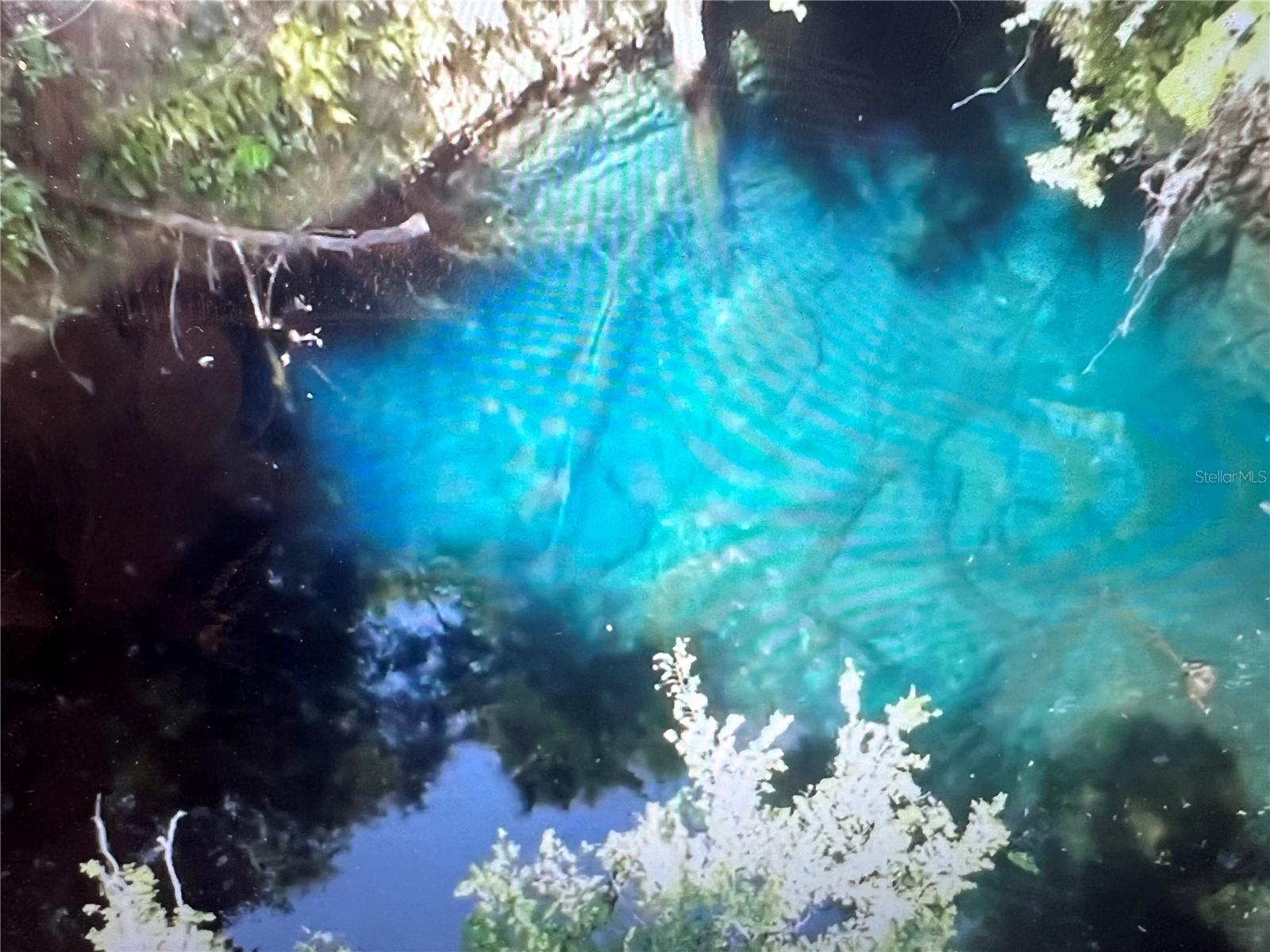 Single Family Residence em WILLISTON, FL - Daniel Dourado