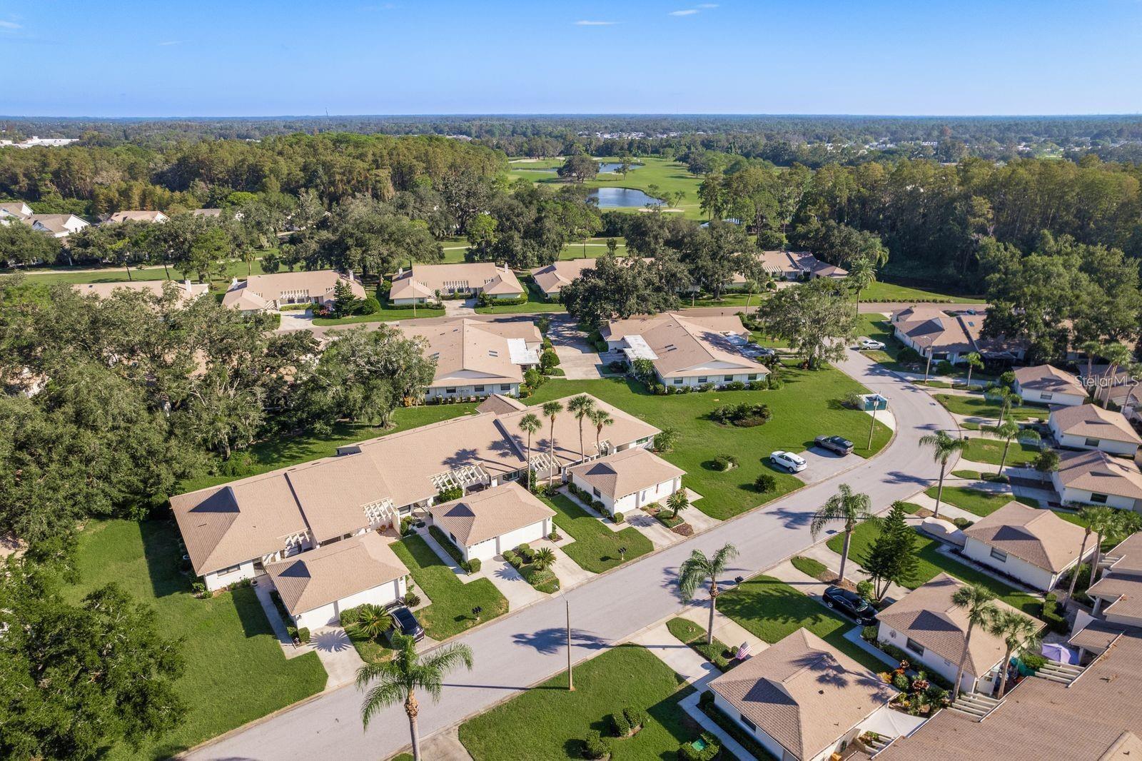 Condominium in NEW PORT RICHEY, FL - Daniel Dourado