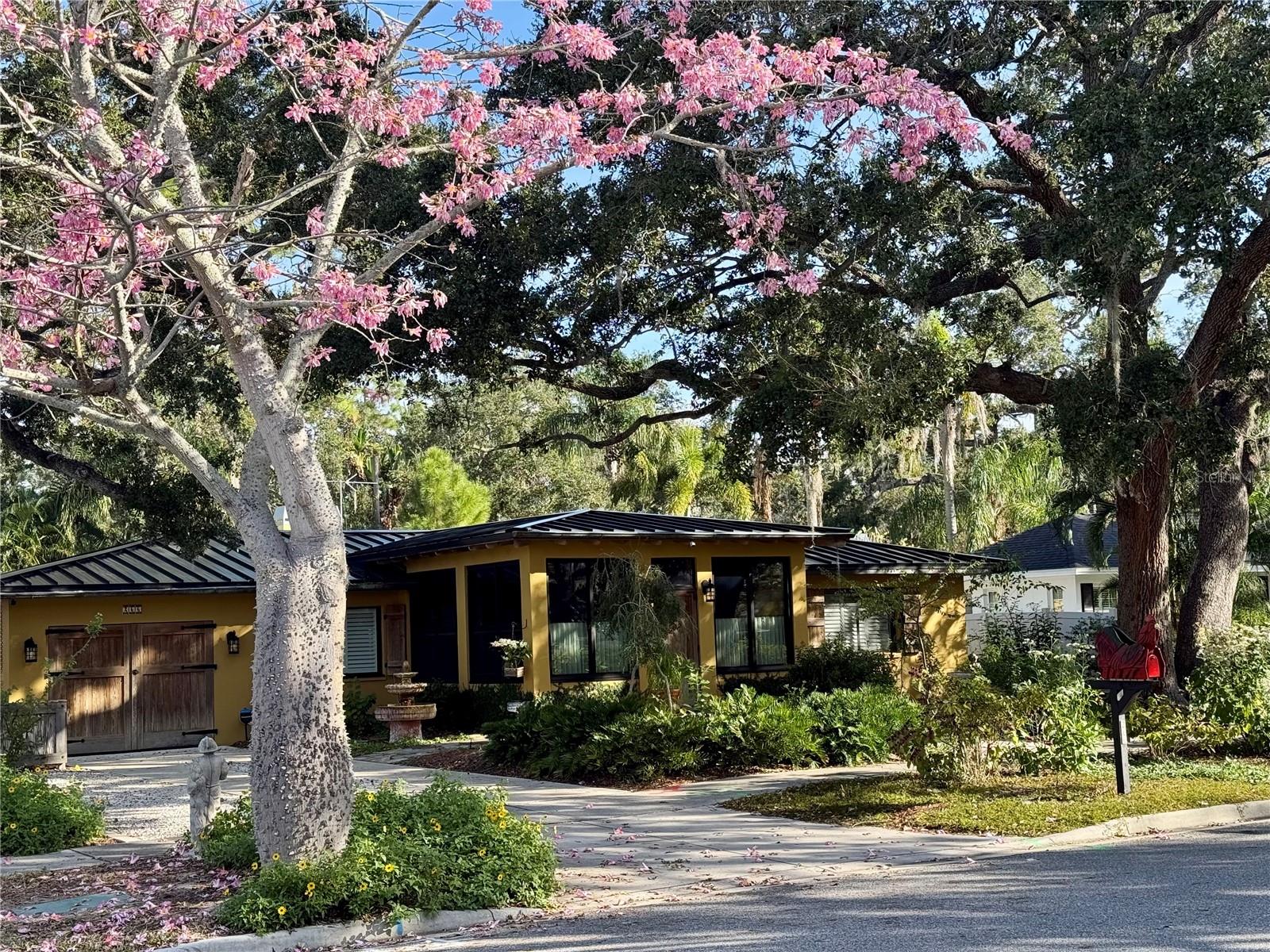 Single Family Residence in DUNEDIN, FL - Daniel Dourado
