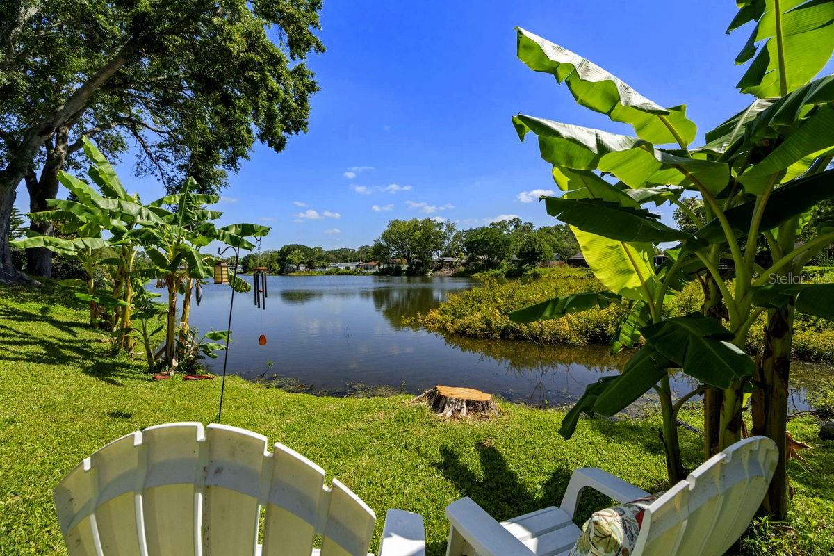 Single Family Residence in DUNEDIN, FL - Daniel Dourado