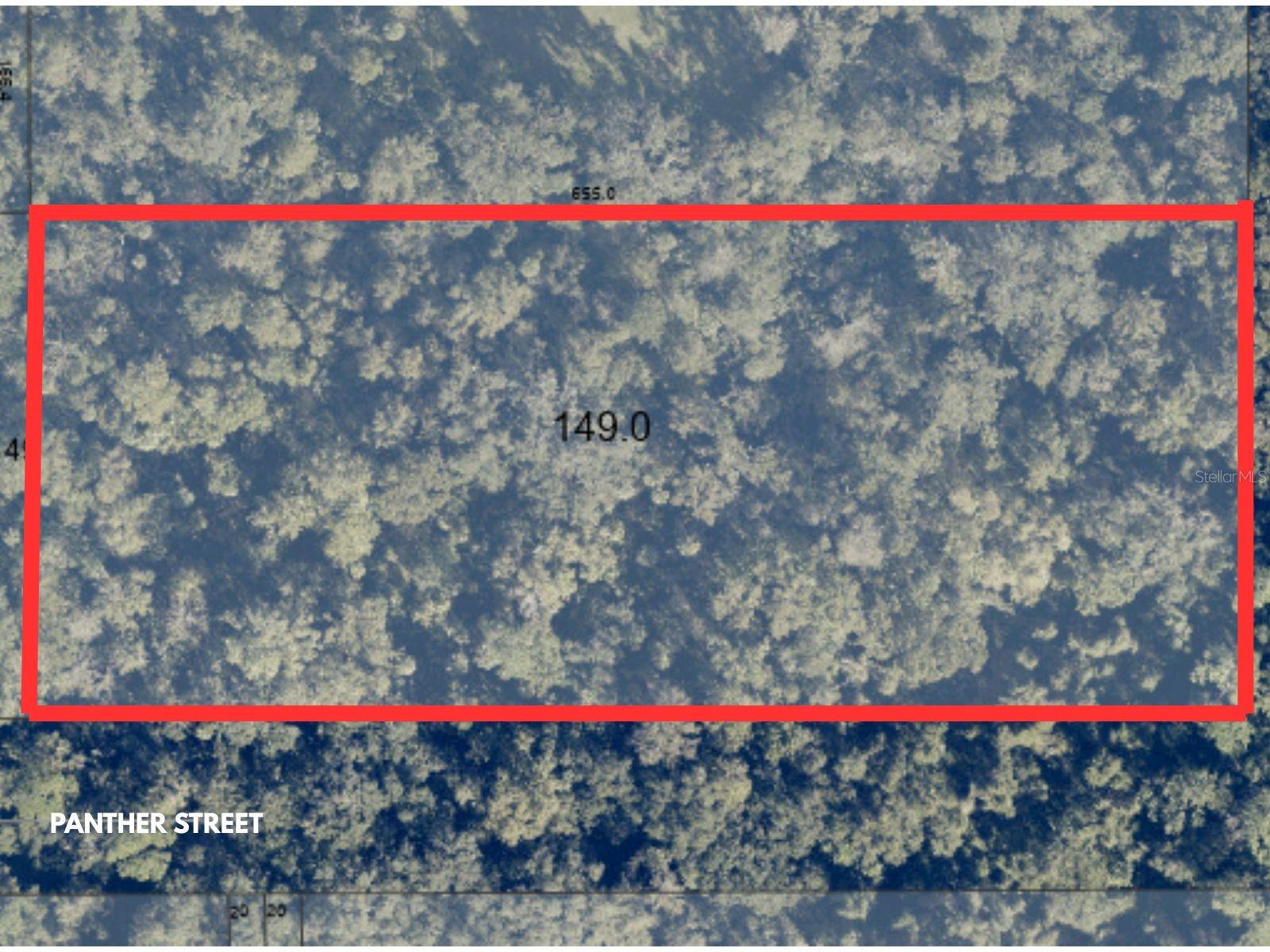 em OVIEDO, FL - Daniel Dourado