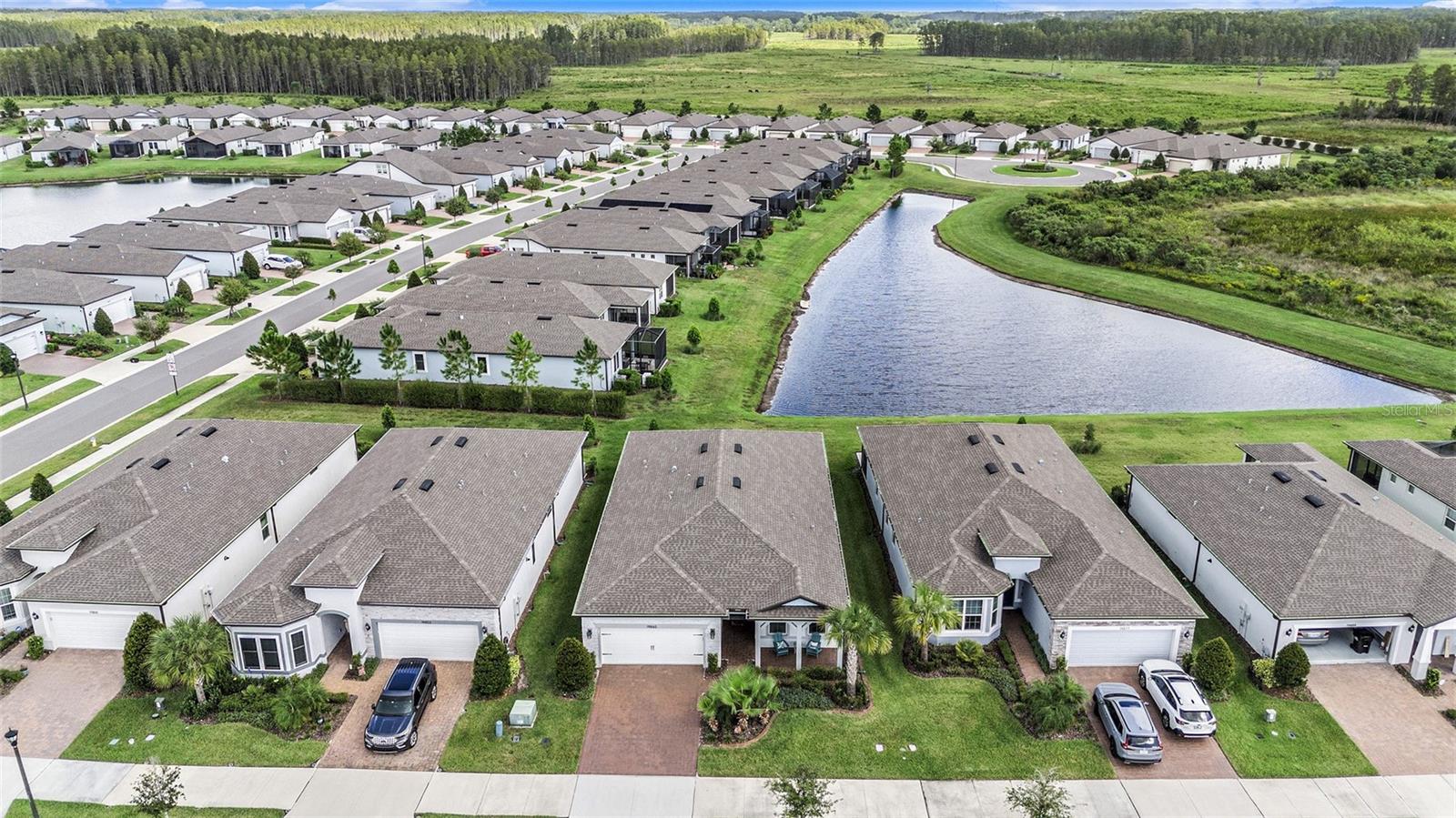 Single Family Residence em LAND O LAKES, FL - Daniel Dourado