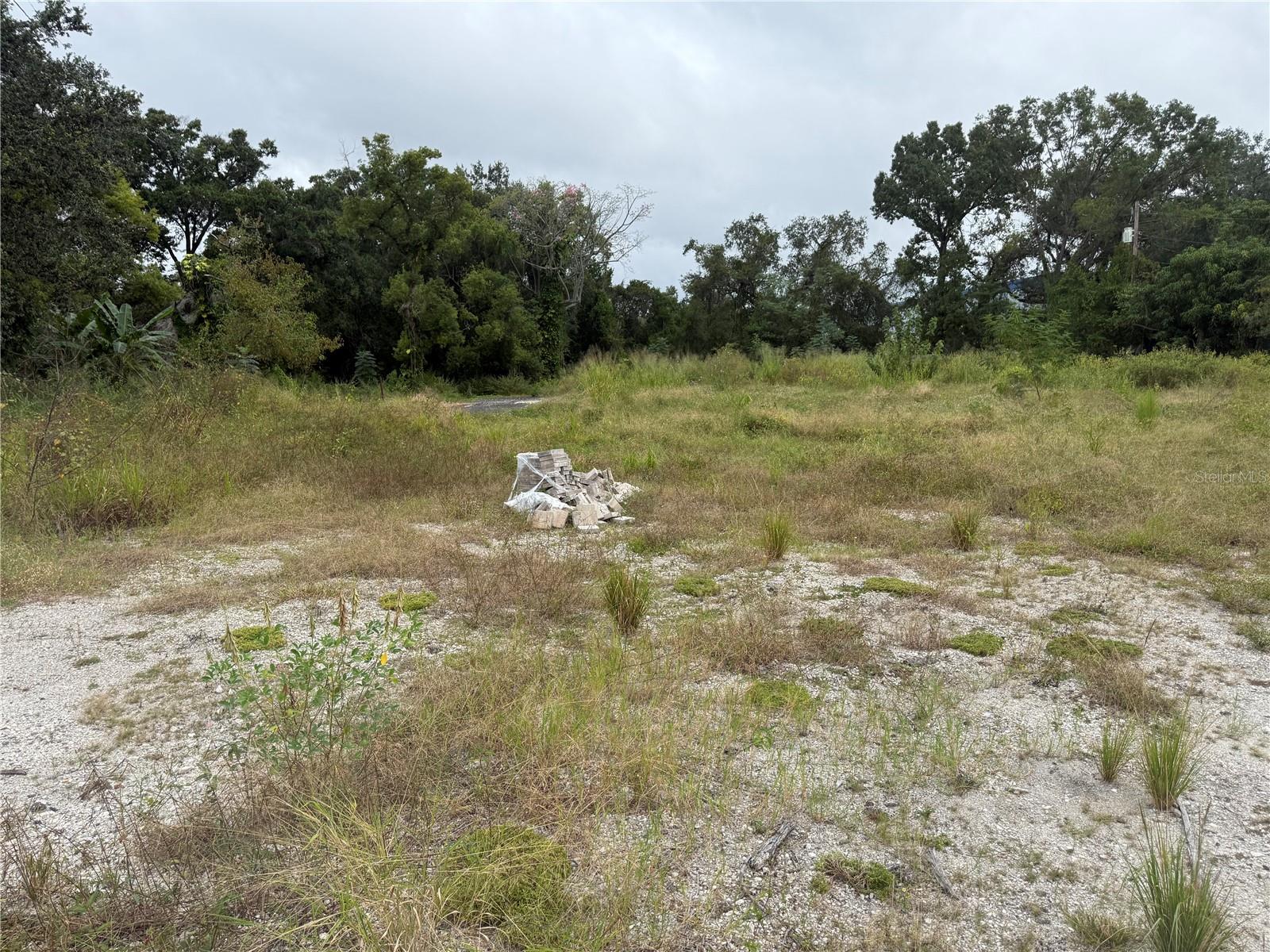  em TAMPA, FL - Daniel Dourado