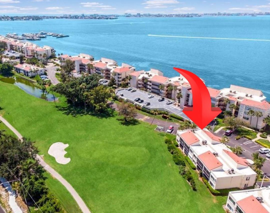 Condominium em ST PETERSBURG, FL - Daniel Dourado