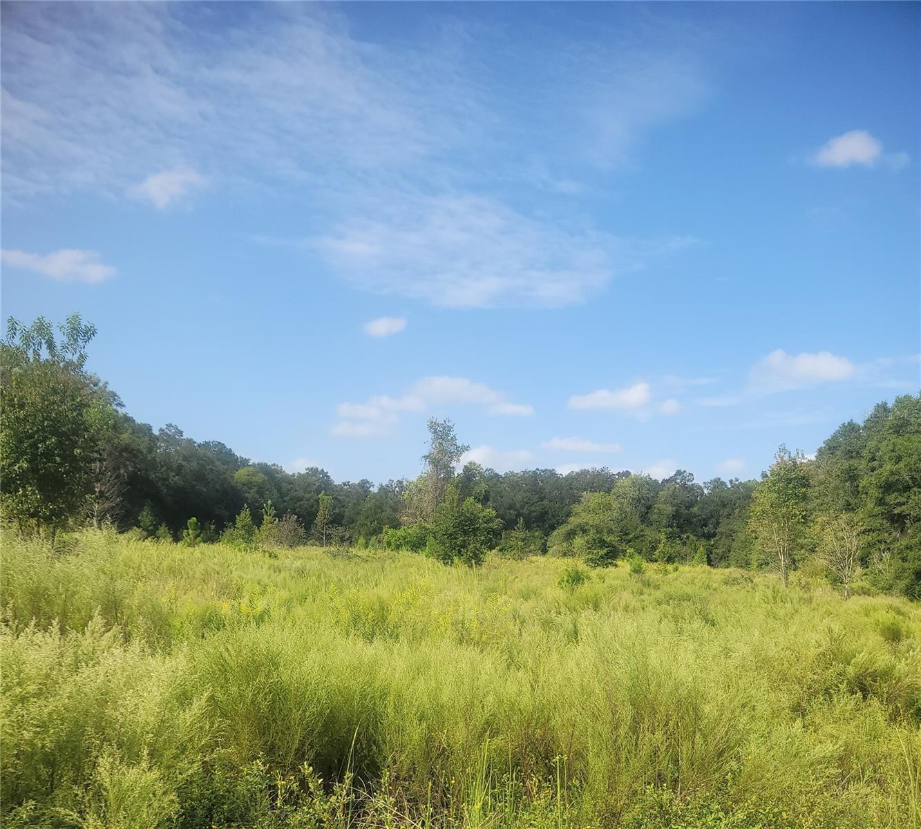  em NEWBERRY, FL - Daniel Dourado