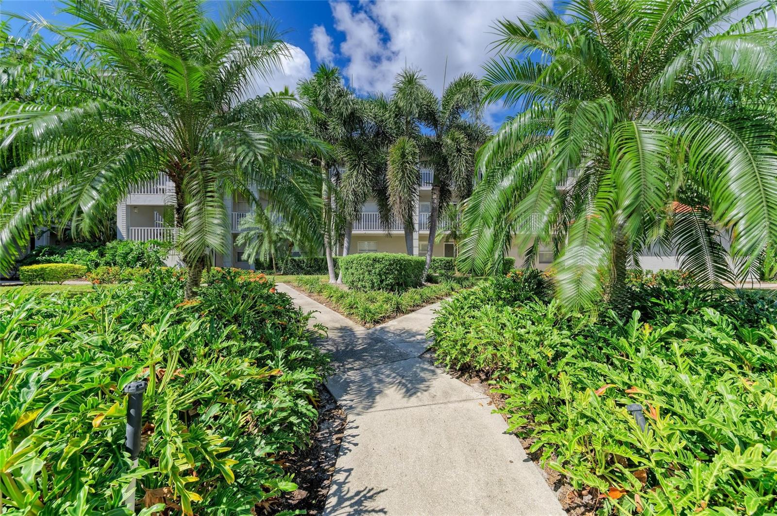 Condominium em SARASOTA, FL - Daniel Dourado