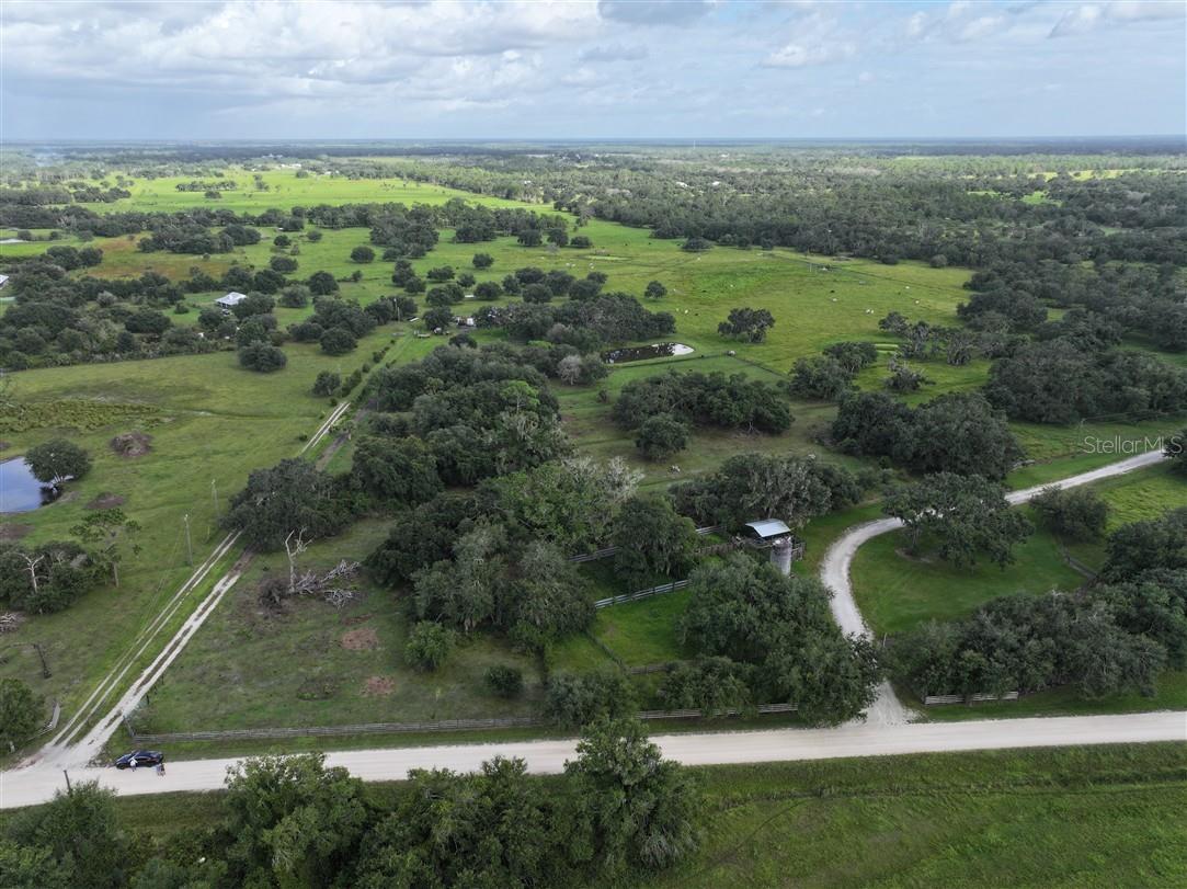  em MYAKKA CITY, FL - Daniel Dourado