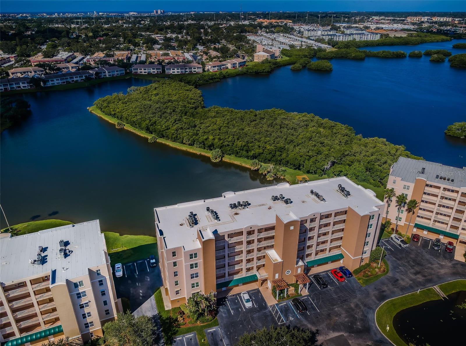 Condominium em ST PETERSBURG, FL - Daniel Dourado