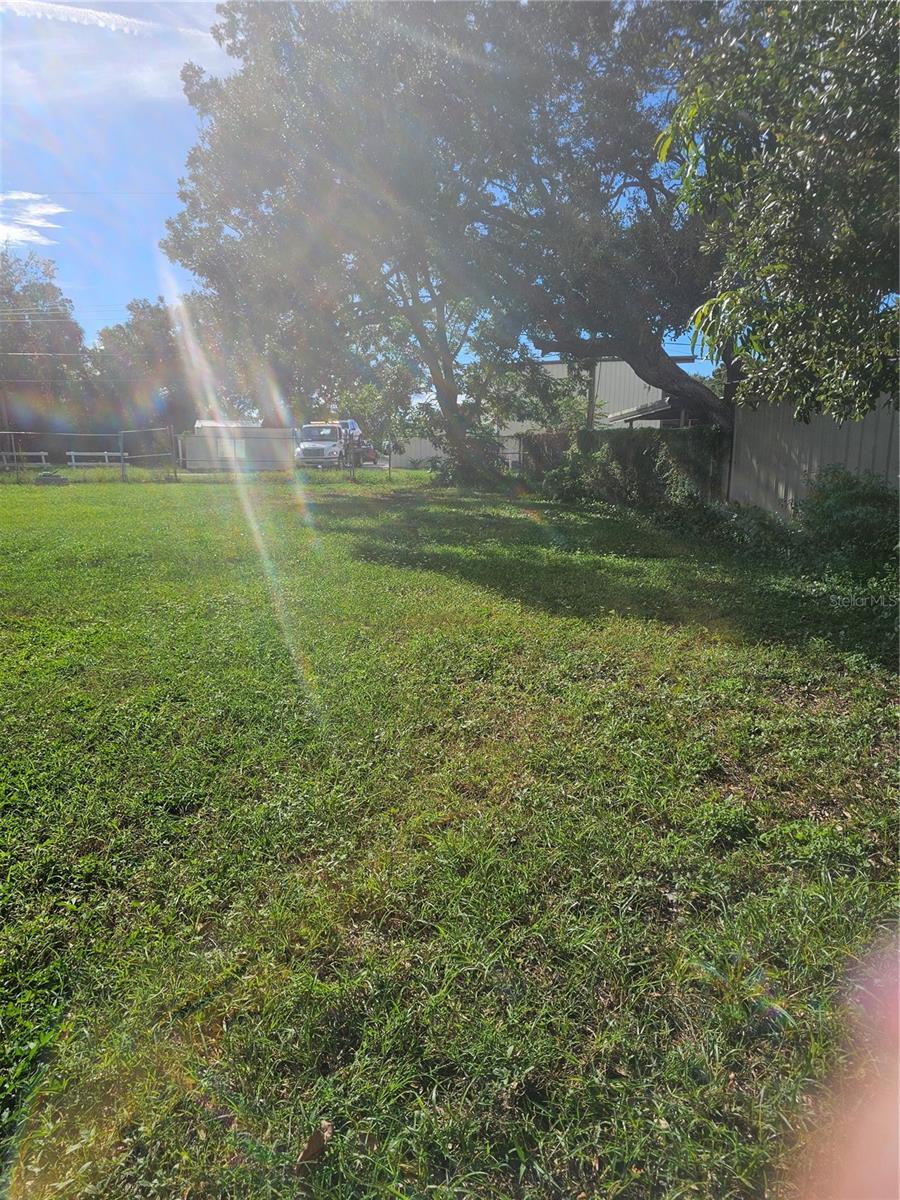  em TAMPA, FL - Daniel Dourado