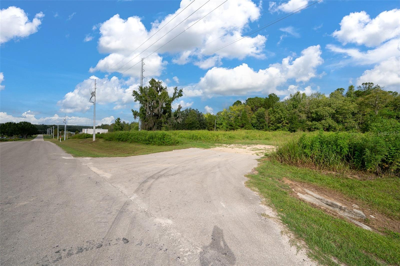  em ALACHUA, FL - Daniel Dourado