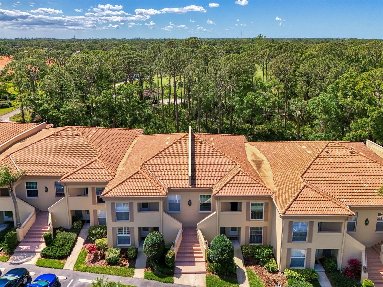 Condominium em SARASOTA, FL - Daniel Dourado