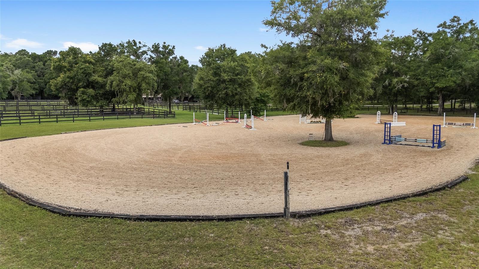 Farm em WILLISTON, FL - Daniel Dourado