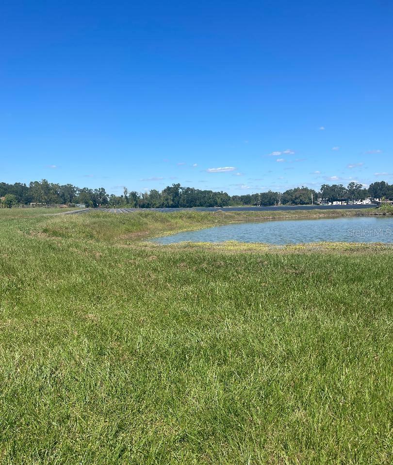  in DOVER, FL - Daniel Dourado