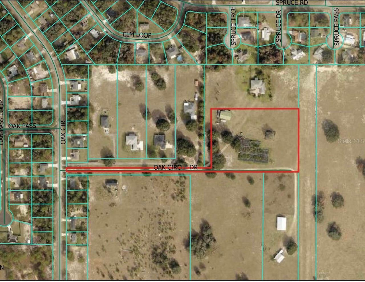  em OCALA, FL - Daniel Dourado