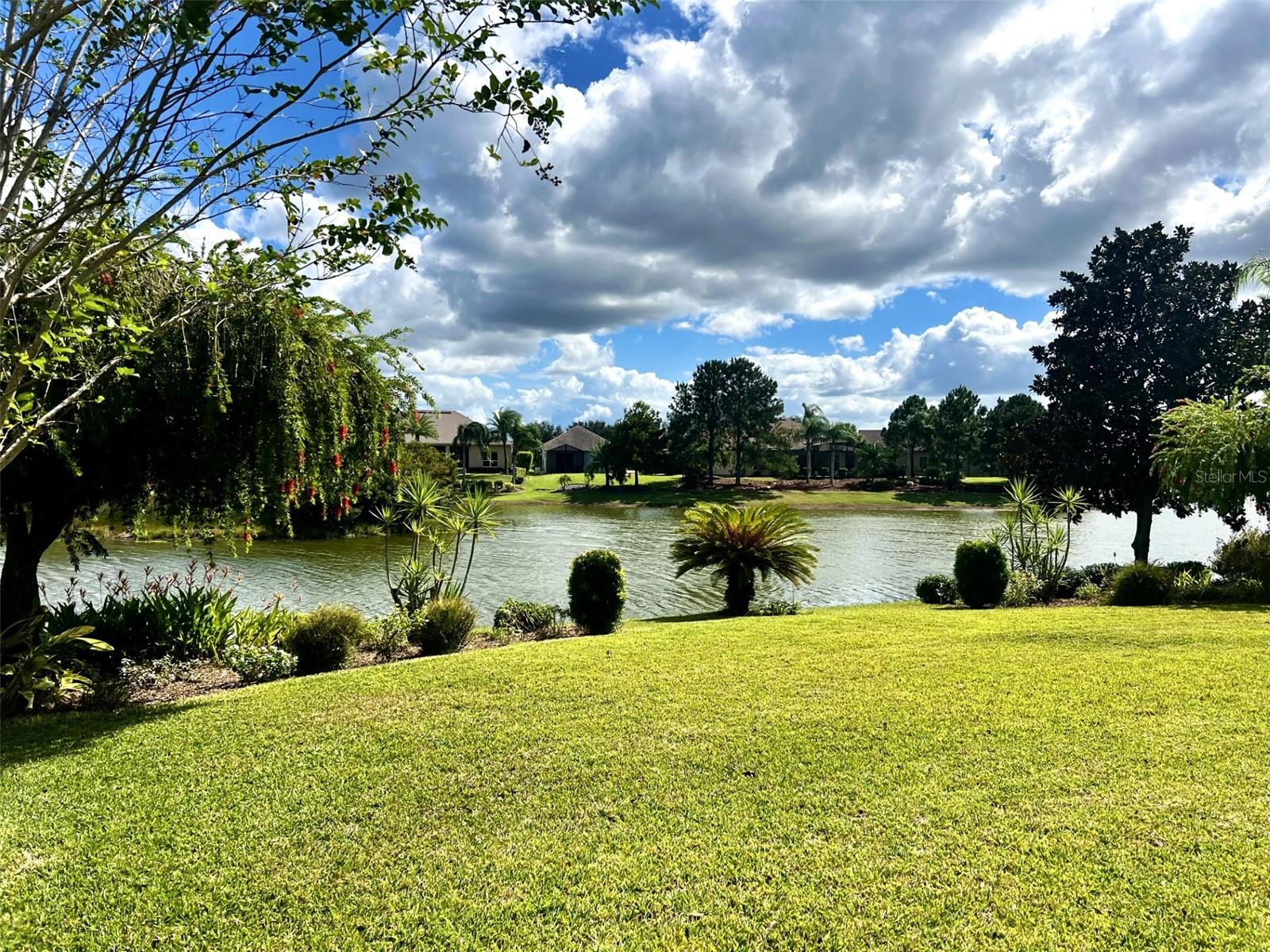 Single Family Residence in MOUNT DORA, FL - Daniel Dourado