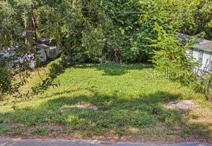  em TAMPA, FL - Daniel Dourado