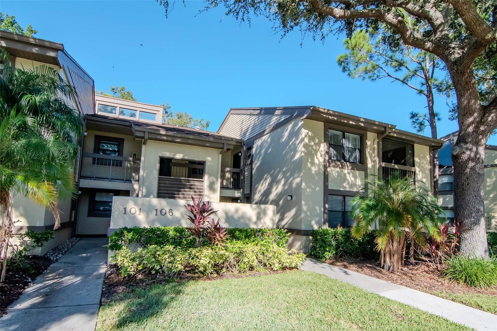 Condominium in OLDSMAR, FL - Daniel Dourado