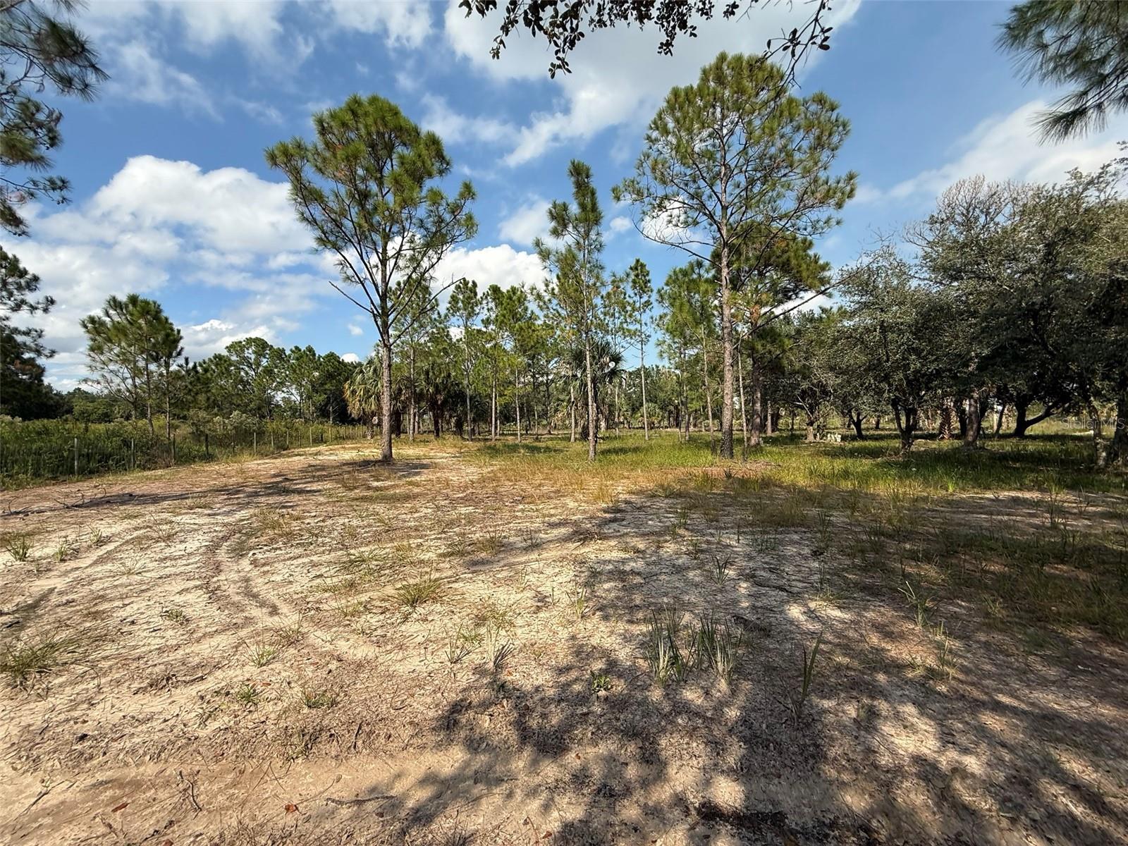  em OKEECHOBEE, FL - Daniel Dourado