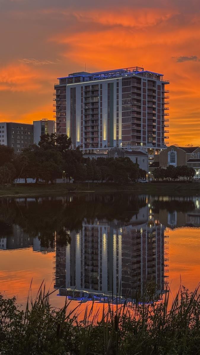 Condominium em ST PETERSBURG, FL - Daniel Dourado