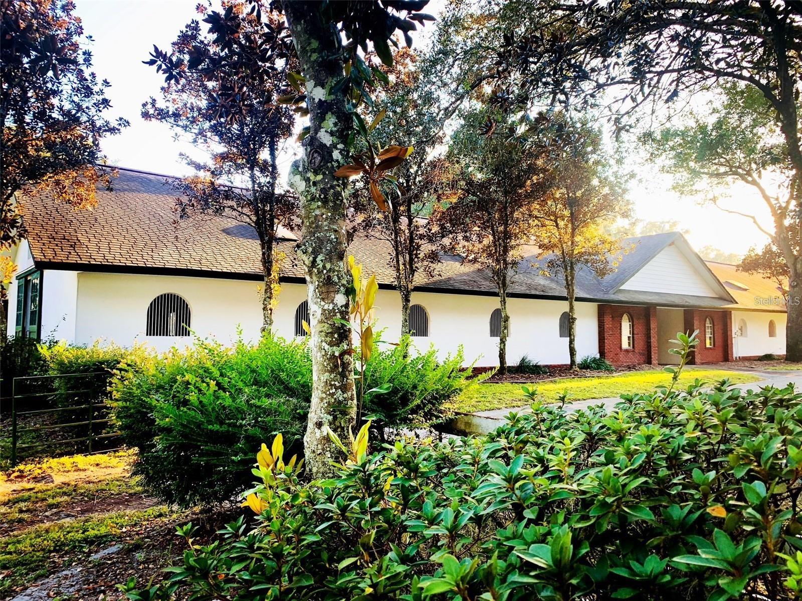 Farm em SUMMERFIELD, FL - Daniel Dourado