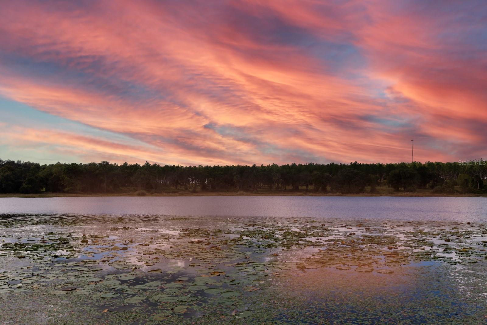 Single Family Residence in WEIRSDALE, FL - Daniel Dourado