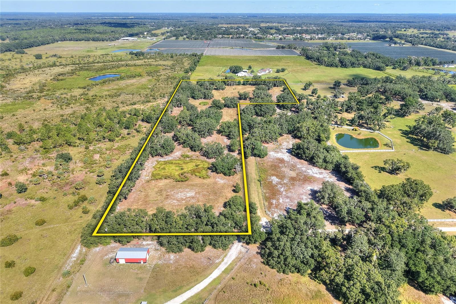  in LITHIA, FL - Daniel Dourado