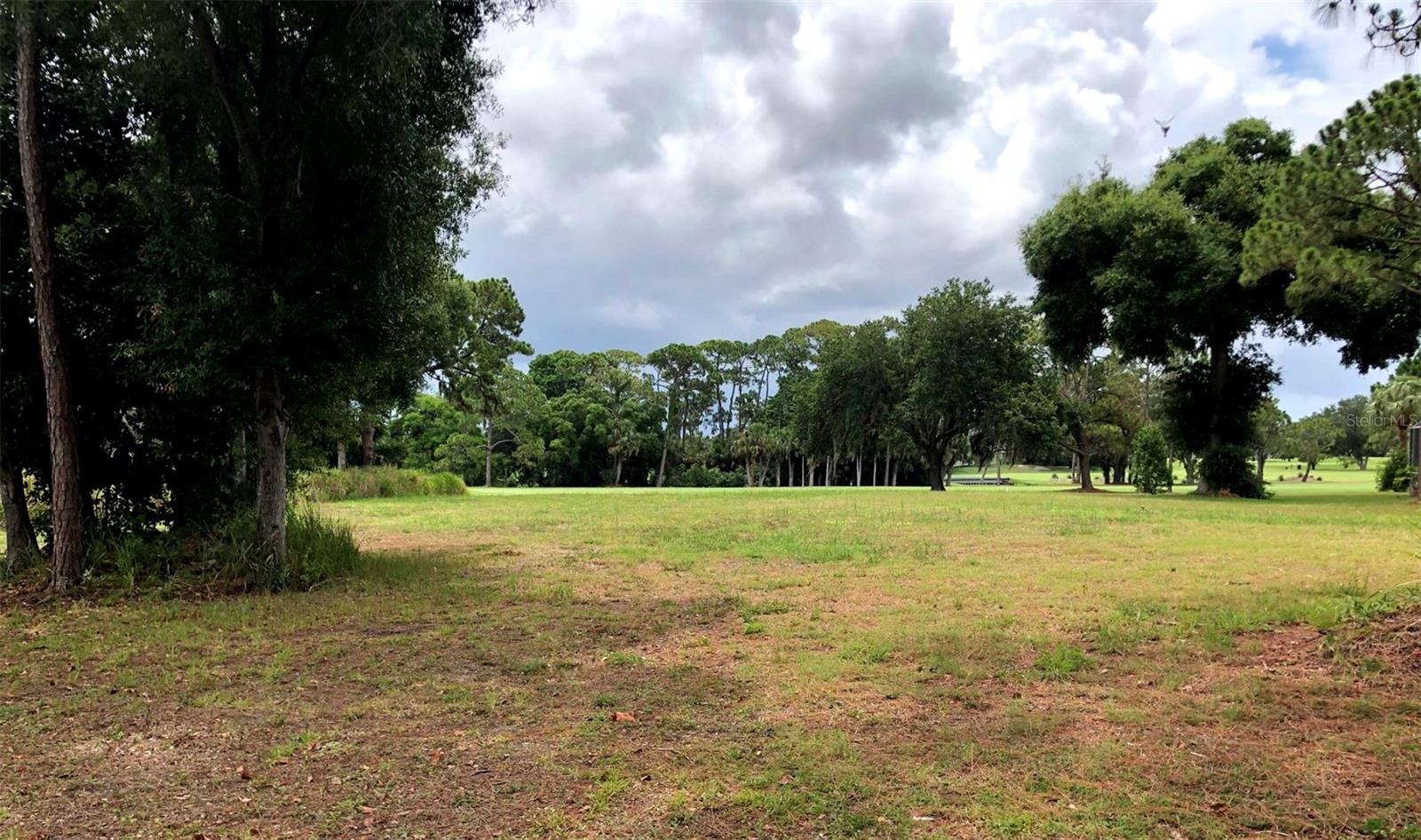 in SARASOTA, FL - Daniel Dourado