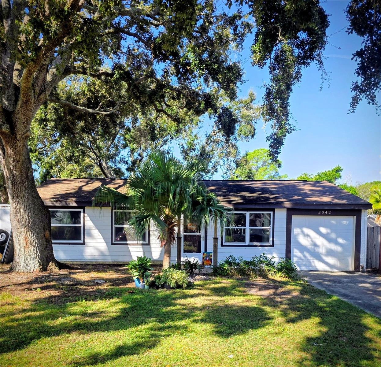 Single Family Residence in PALM HARBOR, FL - Daniel Dourado