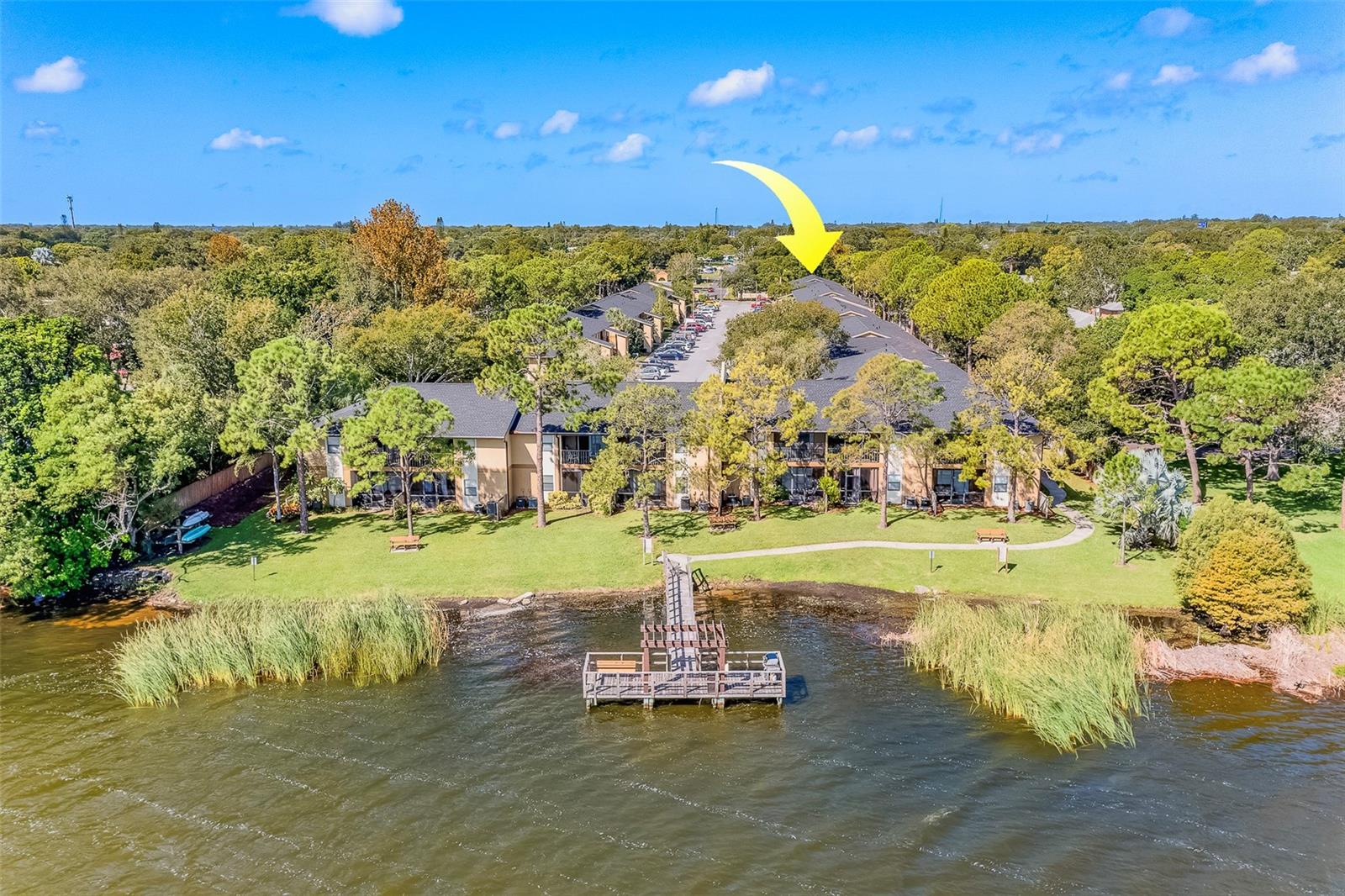 Condominium in LARGO, FL - Daniel Dourado