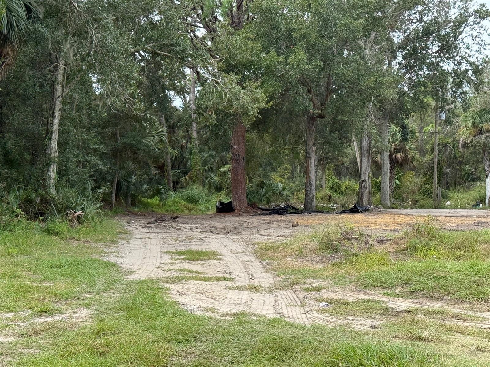  em EDGEWATER, FL - Daniel Dourado