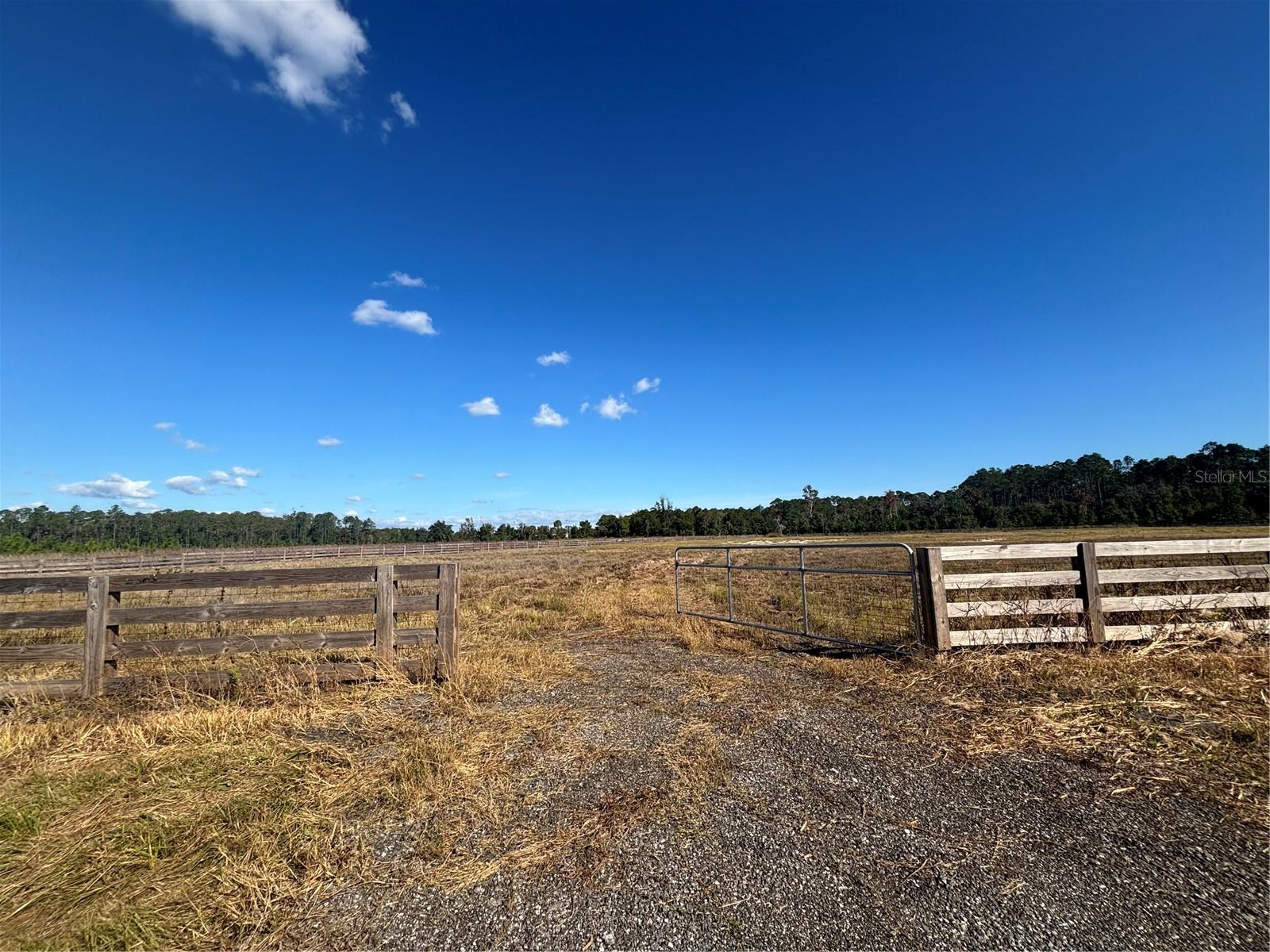  em BUNNELL, FL - Daniel Dourado