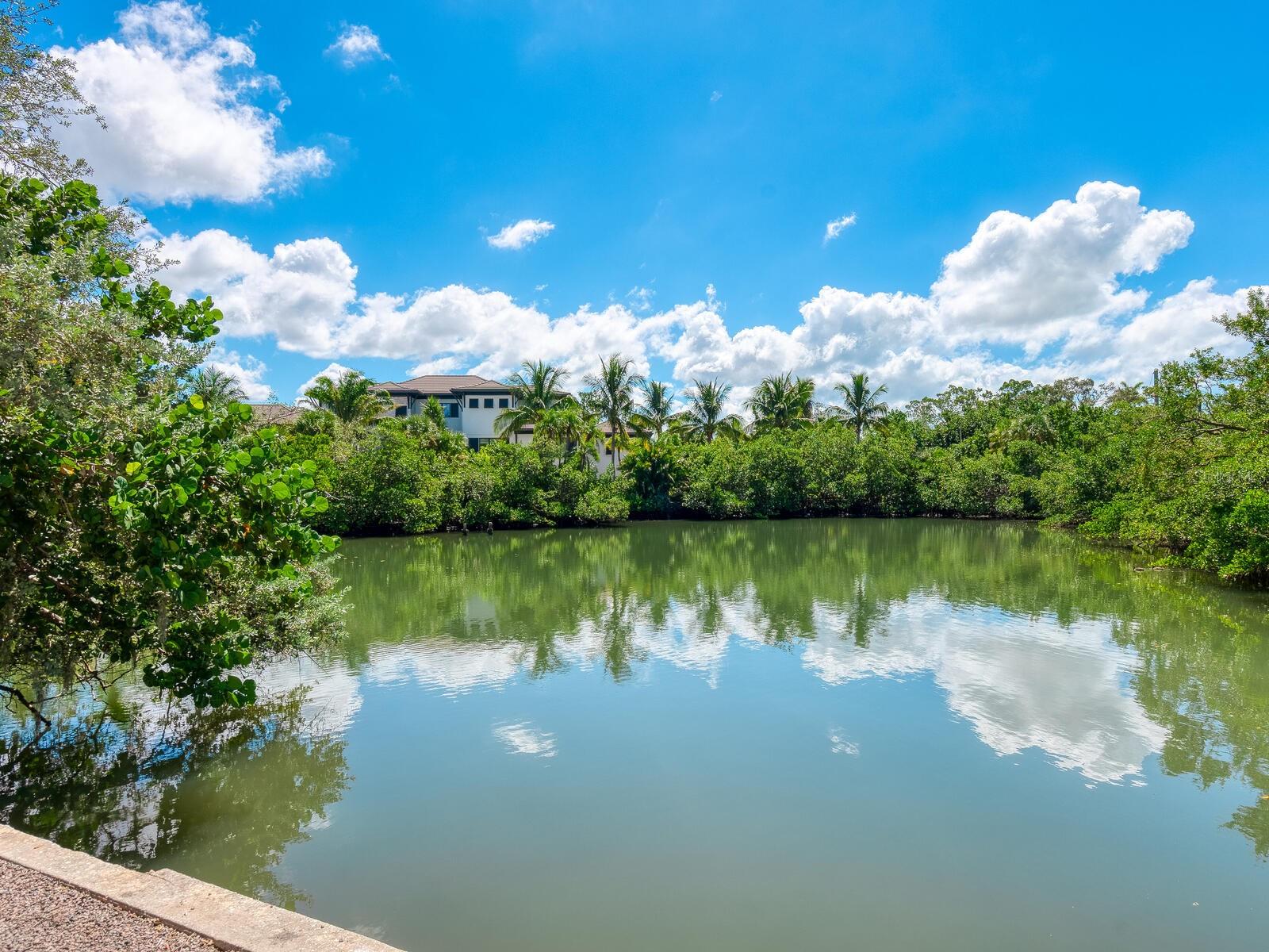  em SARASOTA, FL - Daniel Dourado