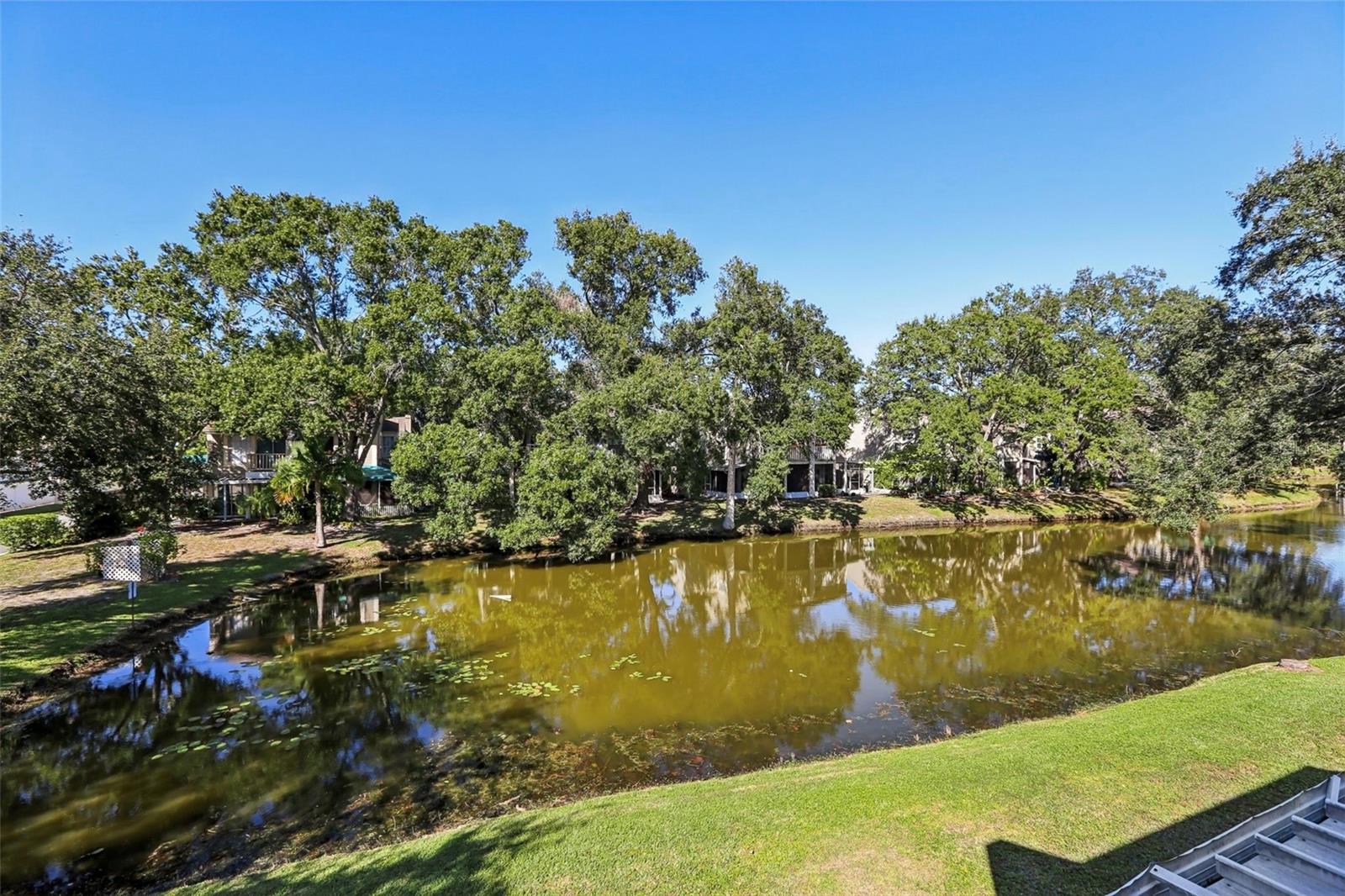 Condominium em TAMPA, FL - Daniel Dourado