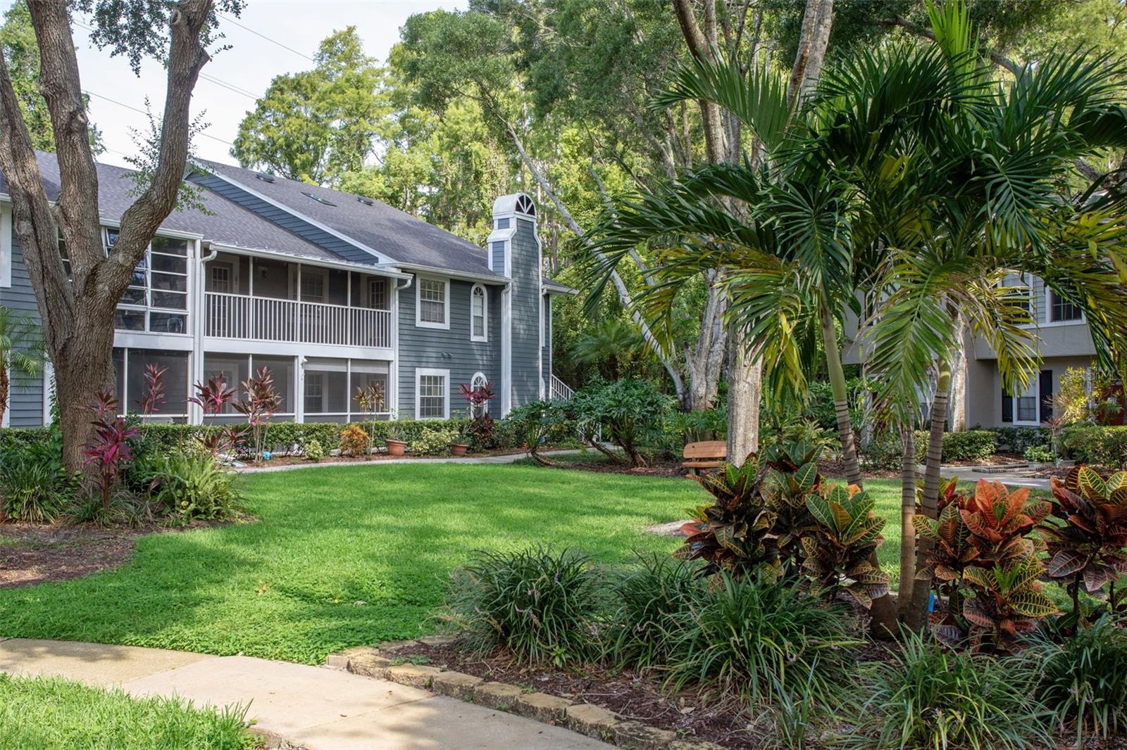 Condominium in PALM HARBOR, FL - Daniel Dourado