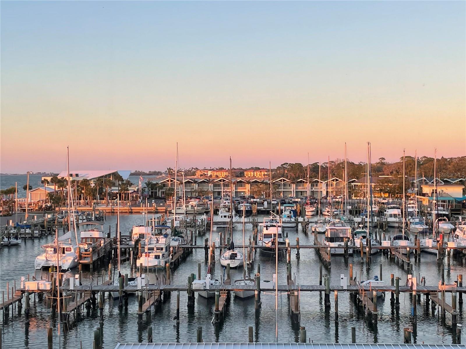 Condominium in DUNEDIN, FL - Daniel Dourado