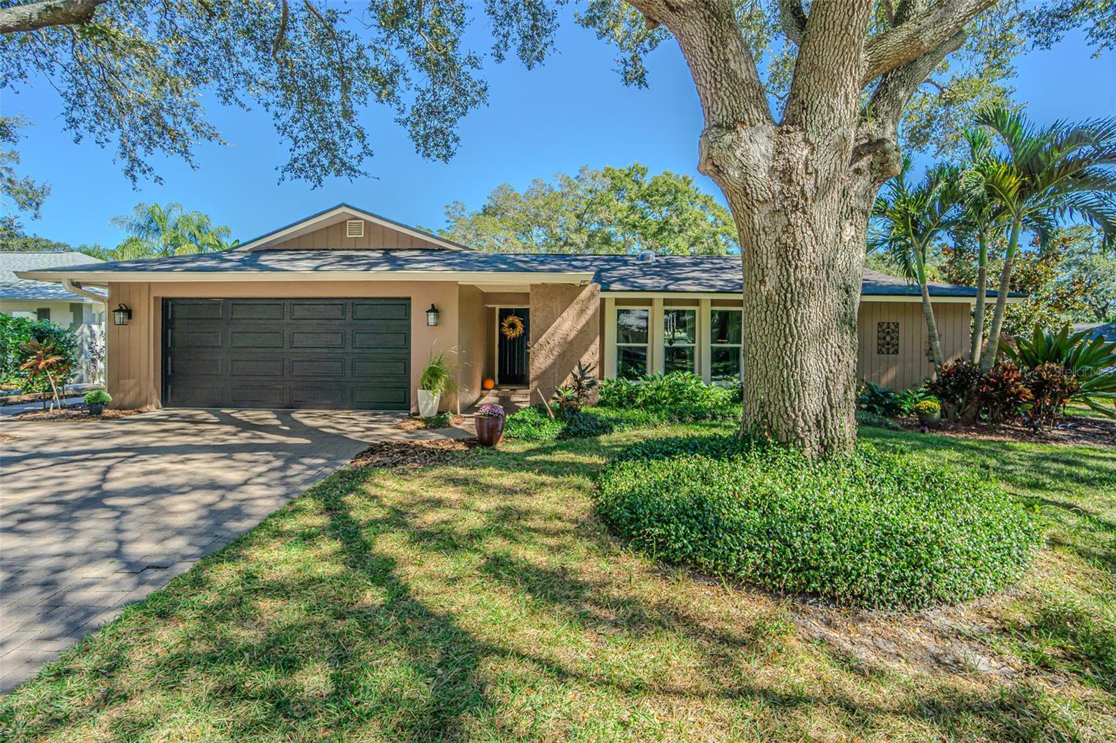 Single Family Residence in PALM HARBOR, FL - Daniel Dourado