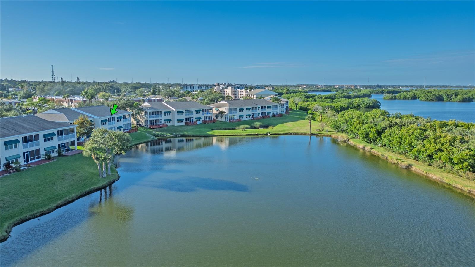 Condominium em ST PETERSBURG, FL - Daniel Dourado