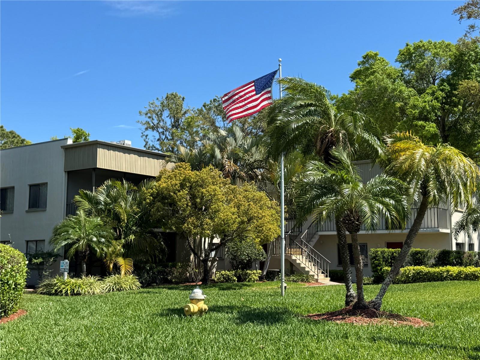 Condominium in PALM HARBOR, FL - Daniel Dourado