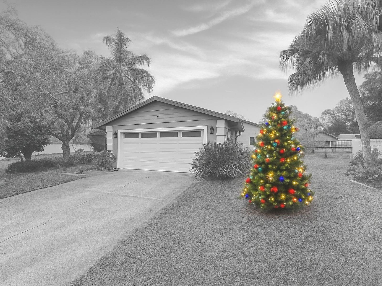 Single Family Residence in OLDSMAR, FL - Daniel Dourado