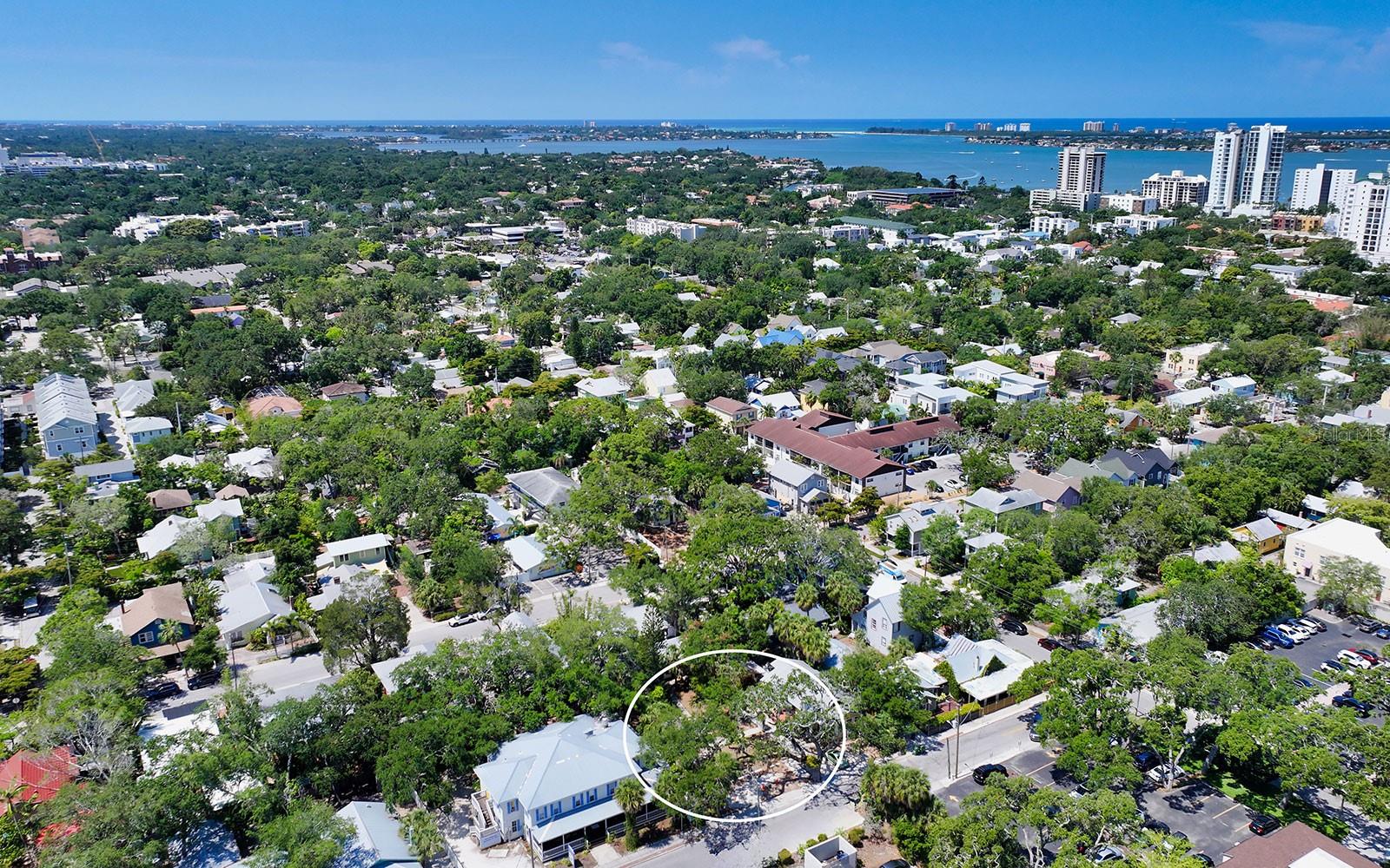  in SARASOTA, FL - Daniel Dourado