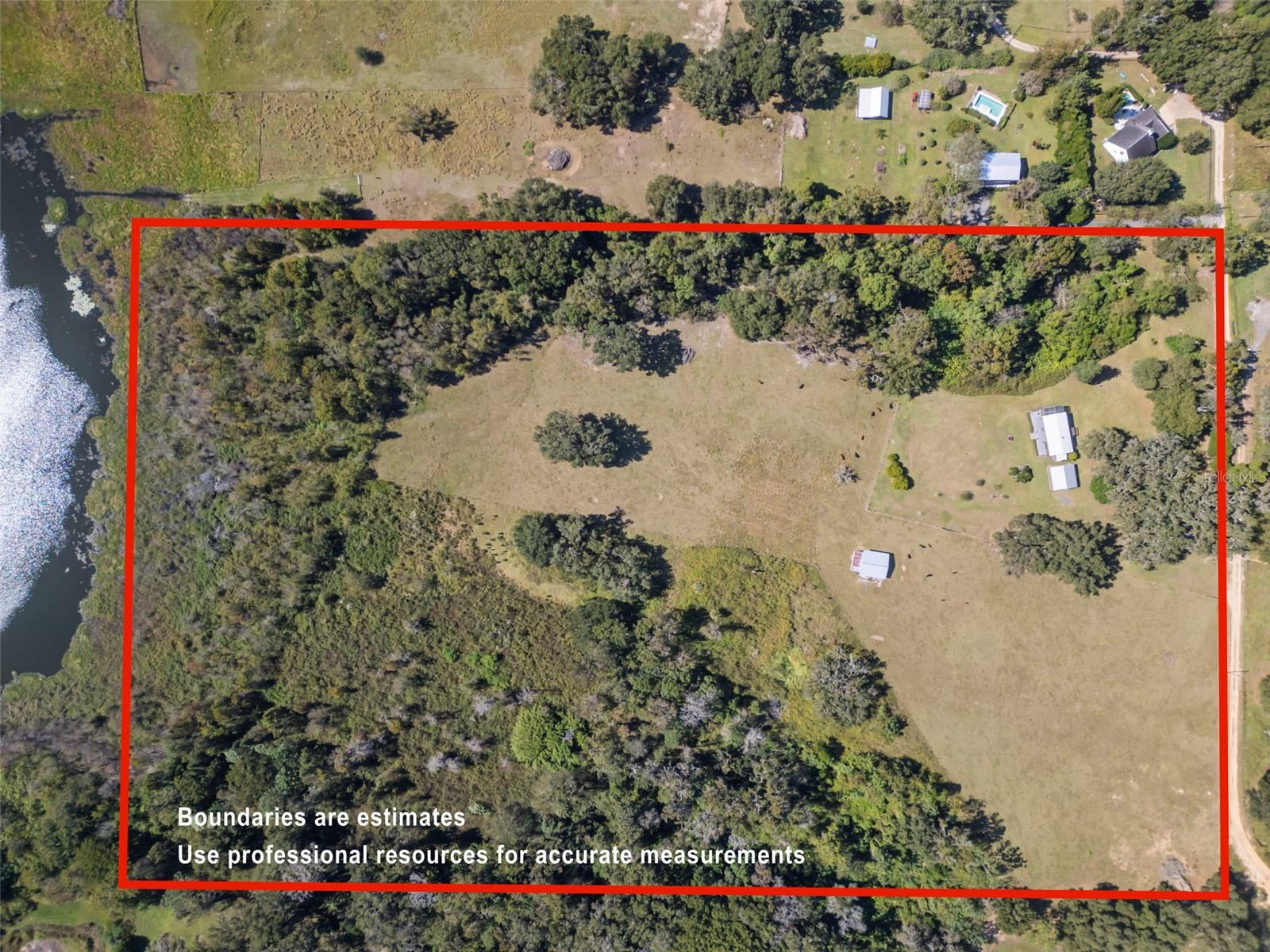  em DADE CITY, FL - Daniel Dourado