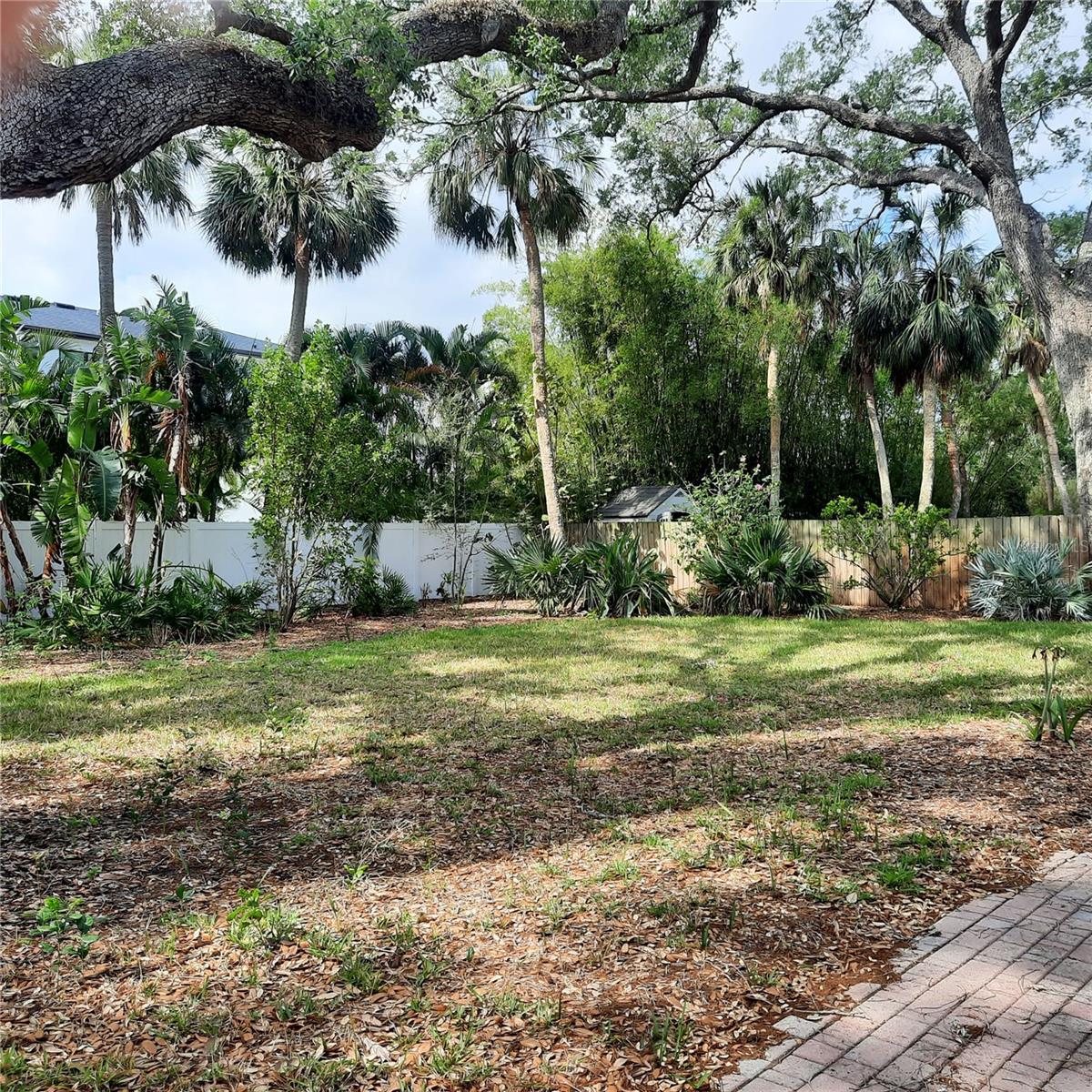  em TAMPA, FL - Daniel Dourado