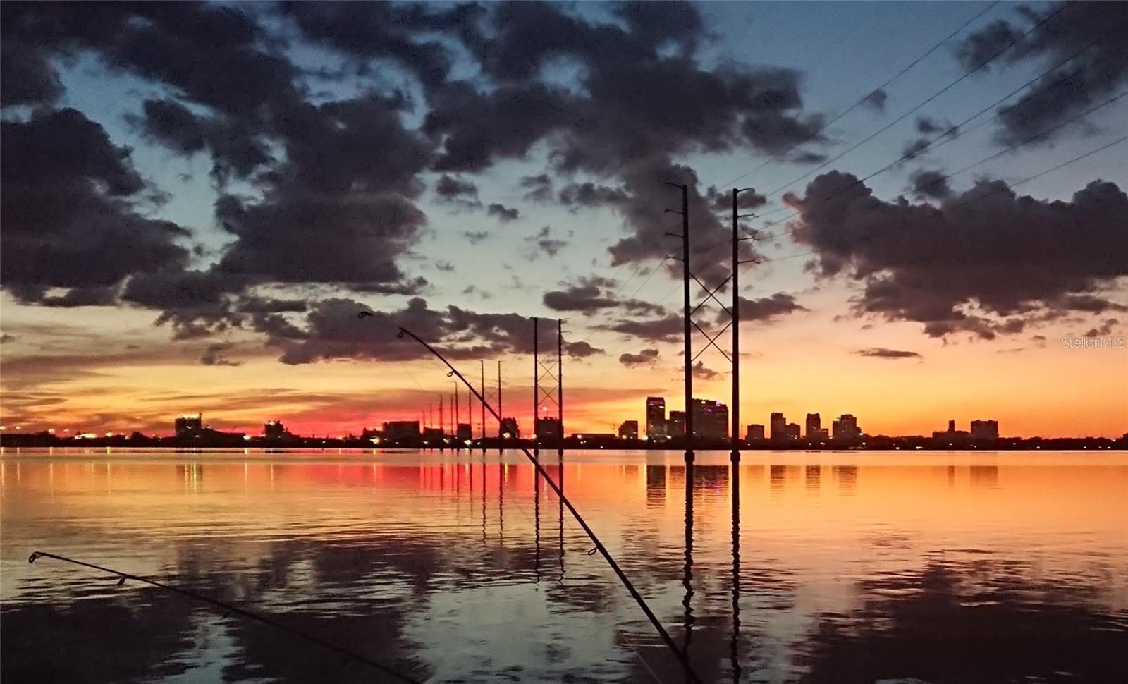 Single Family Residence em TAMPA, FL - Daniel Dourado